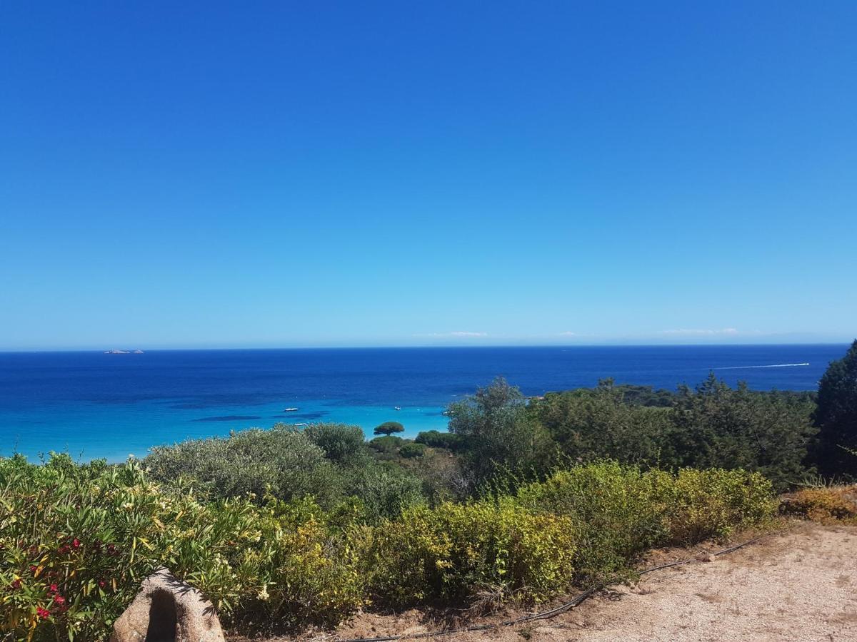 Maison Sur Palombaggia Porto-Vecchio  Dış mekan fotoğraf