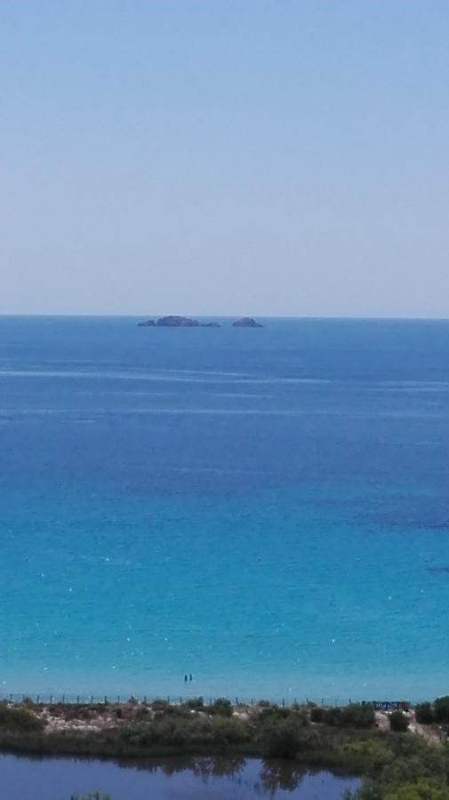 Maison Sur Palombaggia Porto-Vecchio  Dış mekan fotoğraf