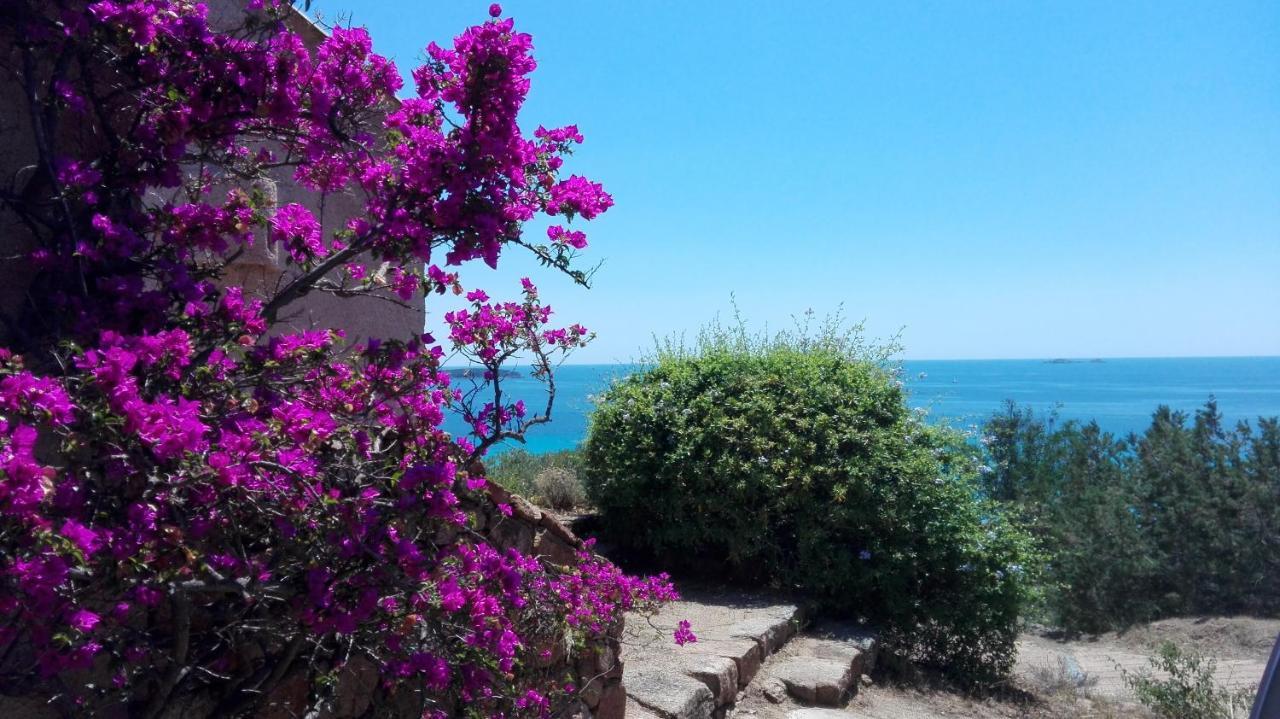 Maison Sur Palombaggia Porto-Vecchio  Dış mekan fotoğraf