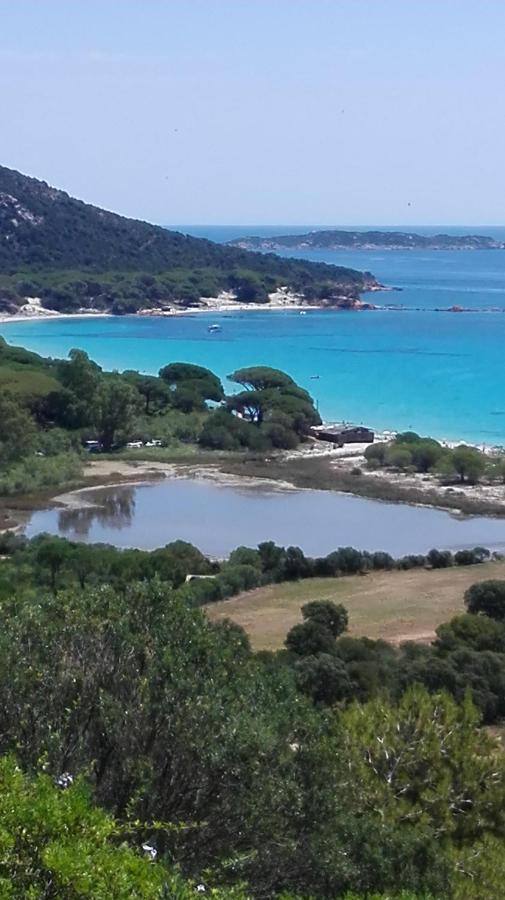 Maison Sur Palombaggia Porto-Vecchio  Dış mekan fotoğraf