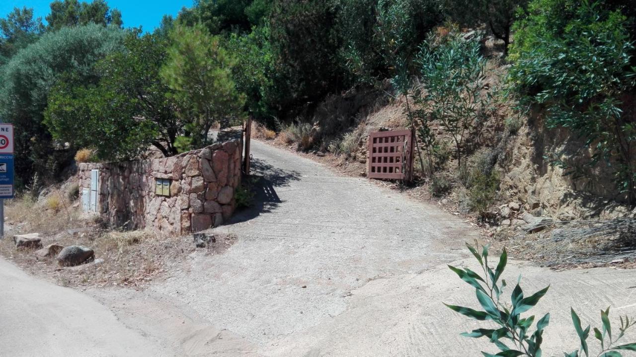 Maison Sur Palombaggia Porto-Vecchio  Dış mekan fotoğraf